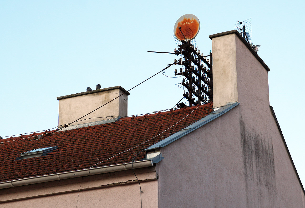 Pohled na dům ve dvoře a setkání komunikačních generací. telegraf, telefon a satelitní televize již všechny víceméně zamířily do historie.