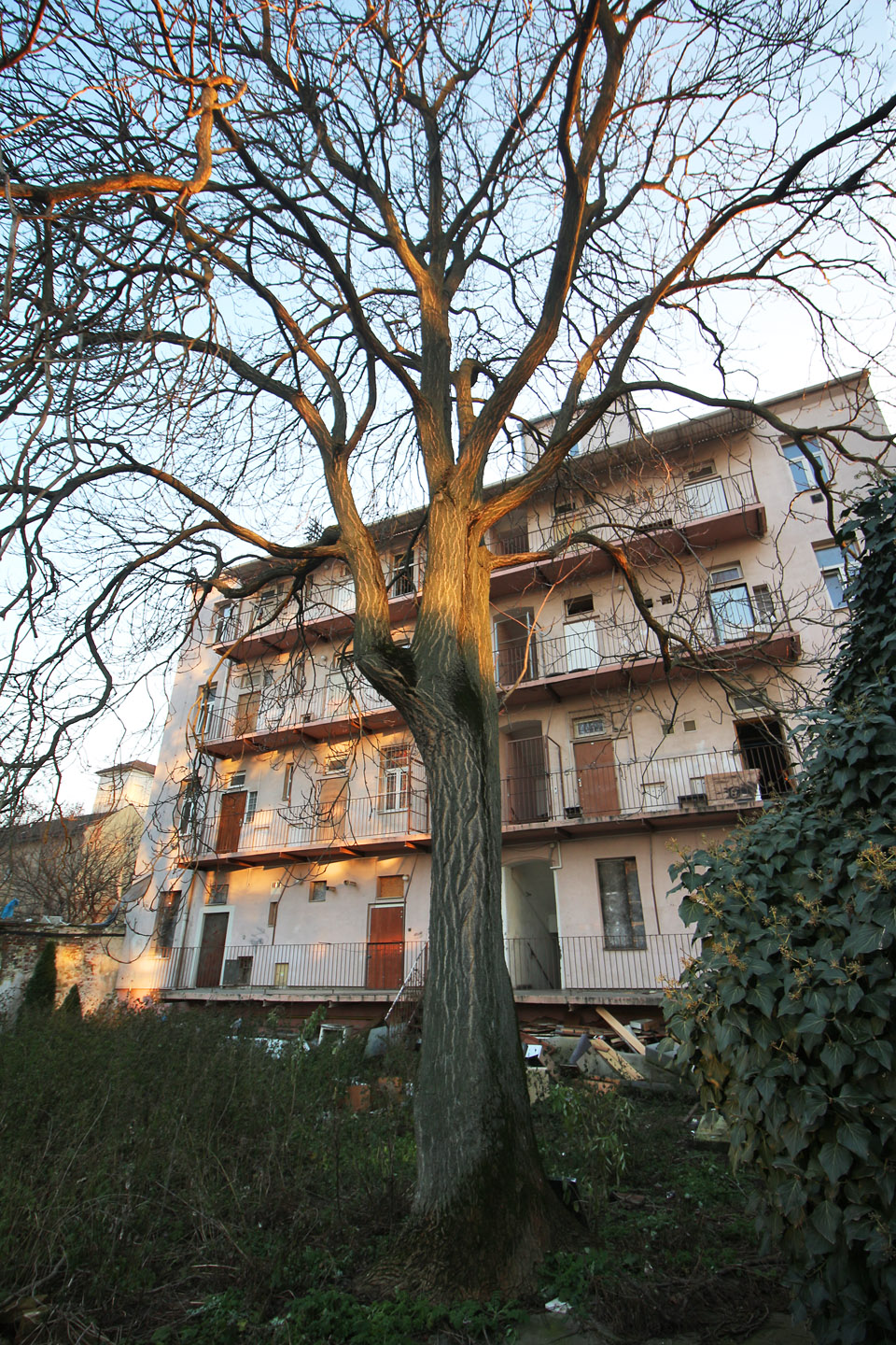 Jedno z mnoha malebných zákoutí pod kaštanem ve druhém dvoře č. 29. Pod nohama fotografa kdysi protékalo jedno z ramen řeky Svratky.