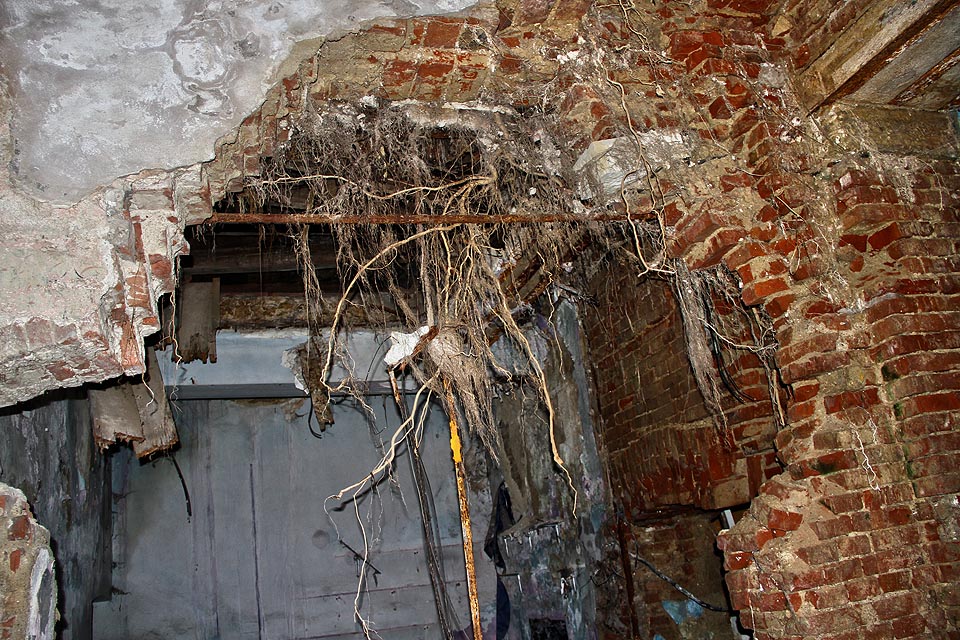 Místo roxorů dnes drží pohromadě skelet domu kořeny prorůstajících stromů.