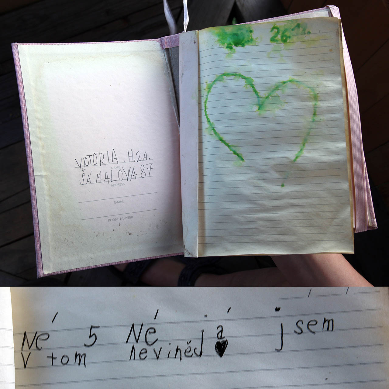 Po posledních nájemnících toho na Šámalově nezbylo mnoho. Ale zvolání „já jsem v tom nevinně“ jako by vycházelo z útrob samotného domu.