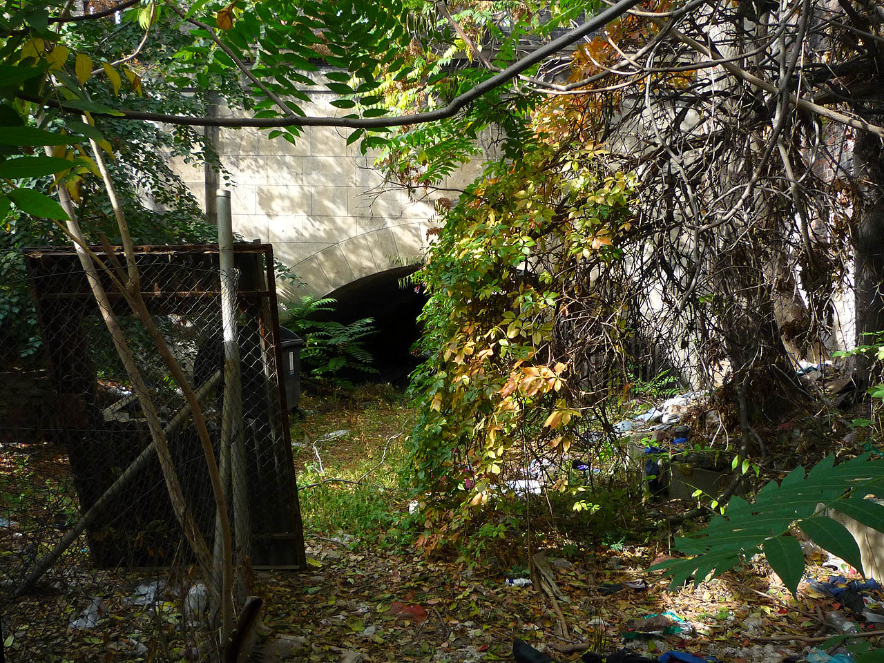 Tunely Svrateckého náhonu pod hlavním nádražím jsou vlastně dva. Toto je pohled od východu na západní tunel (vedoucí ke dnešní hospodě Na dráze). Prostor, ze kterého je snímek focen, tvoří absolutně odvrácenou tvář města, pravý vstup do Druhého Brna. Spustit se do něj dá shora pouze na laně.