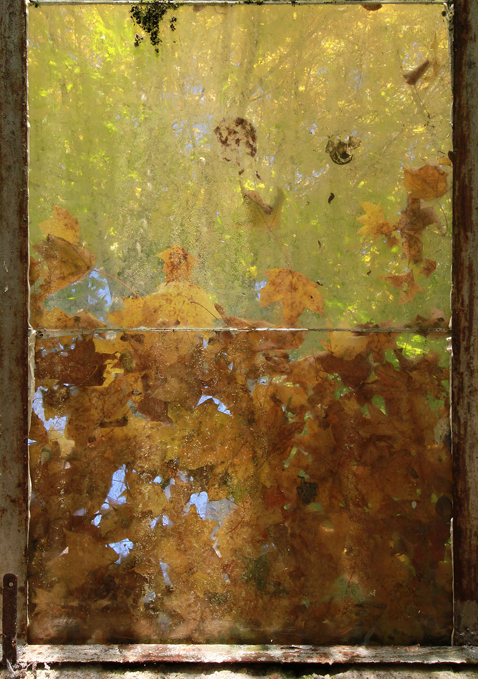 Některé ze skleněných tabulek skleníků už zapadaly listím natolik, že přes ně sotva porchází světlo.