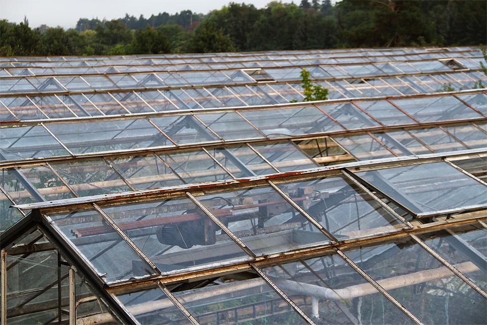 Třeba tu jednou místo skleníků vyroste solární elektrárna a sluneční paprsky budou místo listů rostlin zachycovat křemíkové panely.