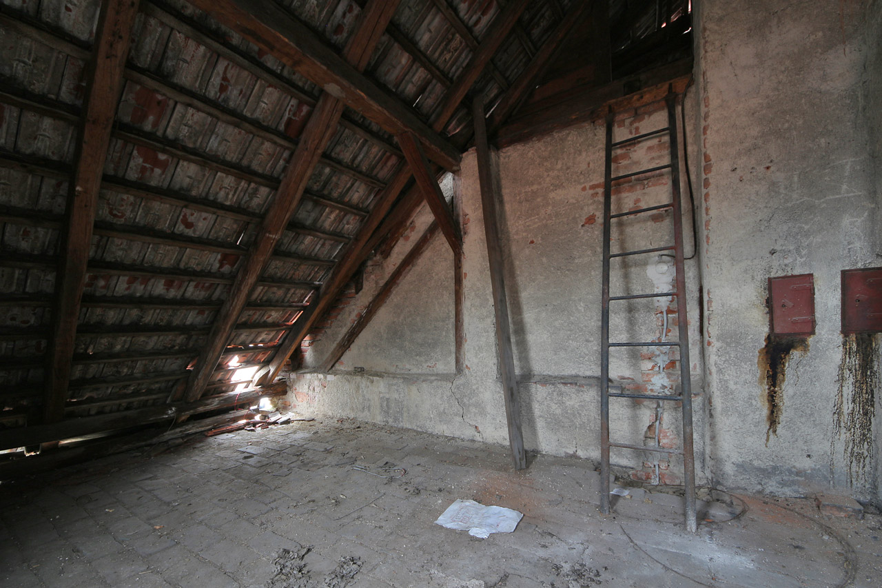 Prvorepublikové podkroví a děravá střecha, kterou se do nosné konstrukce domu dostává zničující voda.